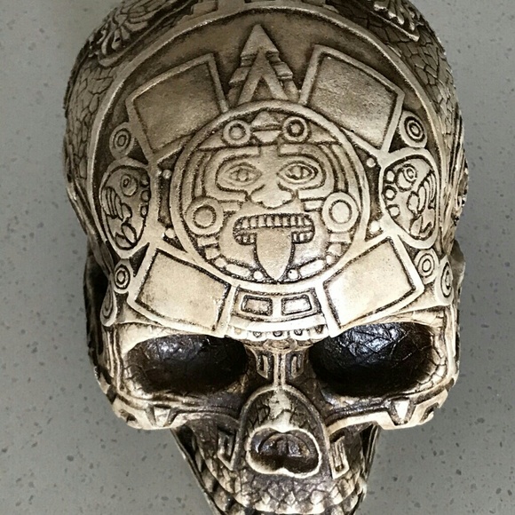 Cast skull - Picture 3 of 8